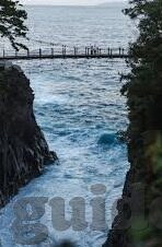 巴西室内足球比分-巴西室内足球比分，速度与激情的数字交响曲