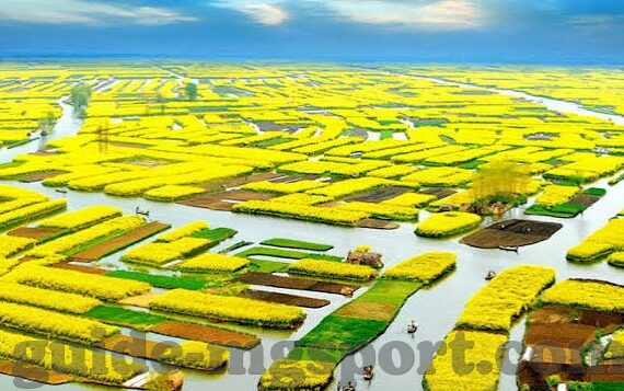 抢庄牛牛下载免费-抢庄牛牛,免费下载,尽享娱乐新体验